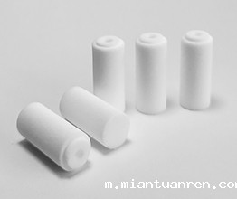 柱状取样滤芯 柱状取样滤芯